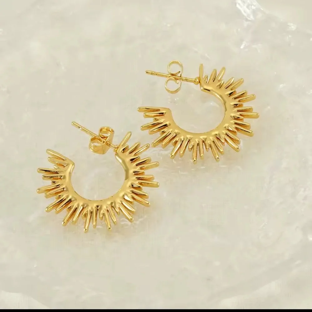 Sunburst Hoop Earrings 18K Gold
Tarnish Resistant Stainless Steel - Picture 4 of 7